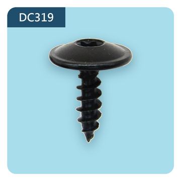 DC319 螺絲